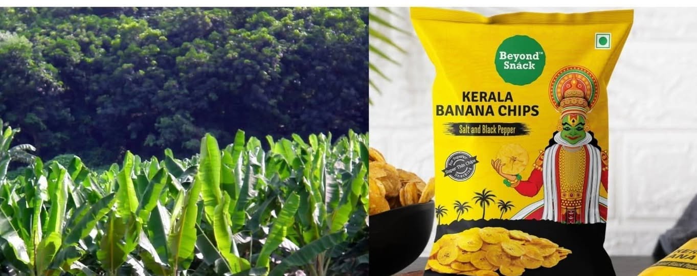  अलप्पीहून जागतिक बाजारपेठेत: मनस माढू आणि ‘बियॉन्ड स्नॅक्स’ची यशोगाथा