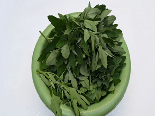 स्वादिष्ट आणि पौष्टिक बथुआच्या रेसिपी