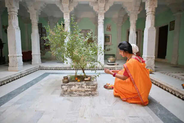 तुळशीपाशी दररोज सायंकाळी दिवा का लावला जातो? जाणून घ्या या परंपरेमागील आध्यात्मिक, सांस्कृतिक आणि व्यावहारिक महत्त्व