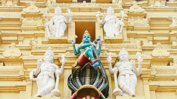 प्रभू श्रीराम आणि श्रीकृष्ण कोणती भाषा बोलत होते? ते दैनंदिन जीवनात संस्कृतच वापरत होते का? जाणून घ्या इतिहासकारांचे मत