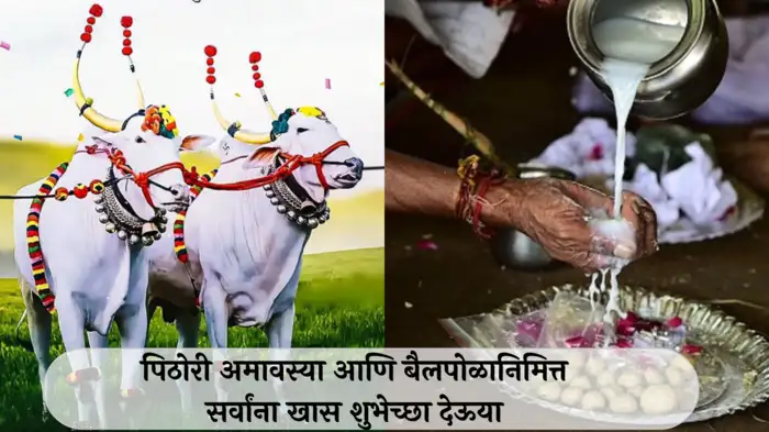  पिठोरी अमावस्या आणि बैलपोळा : निसर्गाशी नातं जपणारा सण