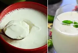 पावसाळ्यात काय खावे? थंड दूध, ताक की दही – आयुर्वेदाचा सल्ला