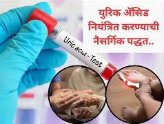 पावसाळ्यात आहार