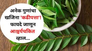 केस गळणे: कारणे, लक्षणे, प्रतिबंध आणि आधुनिक उपायांची सविस्तर माहिती