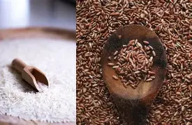 पांढऱ्या तांदळापेक्षा तांबडा तांदूळ अधिक आरोग्यदायी का? जाणून घ्या फरक आणि फायदे 