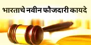 नवीन फौजदारी कायद्यांच्या प्रभावी अंमलबजावणीचे निर्देश