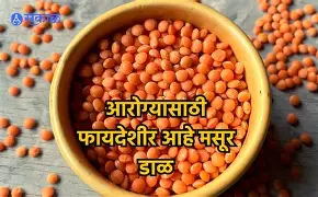 मसूर डाळीचे आरोग्यदायी फायदे