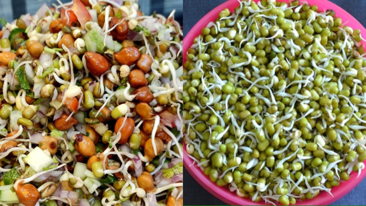  प्रोटीनने भरलेले ‘गिल्ट-फ्री’ भारतीय चाट पर्याय