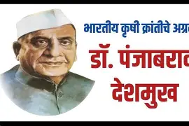  पिंपल्स कमी करण्यासाठी ५ नैसर्गिक उपाय 