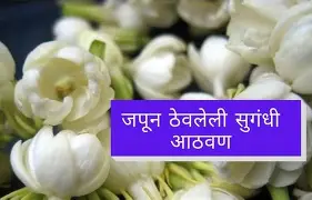 जपून ठेवणं महत्वाचं…! सुगंधी फुलांपासून सुगंधित नात्यांपर्यंत : सौ. सुनिता शेलार.