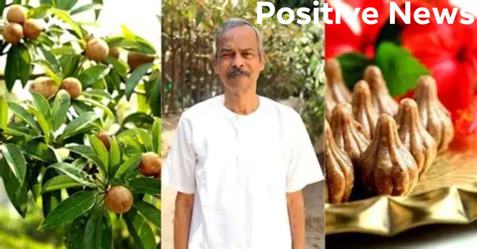 “गावातलं स्वप्न, जगभराची गोडी” — महेश चुरींच्या ‘चिक्कू पार्लर’ची प्रेरणादायी कहाणी 