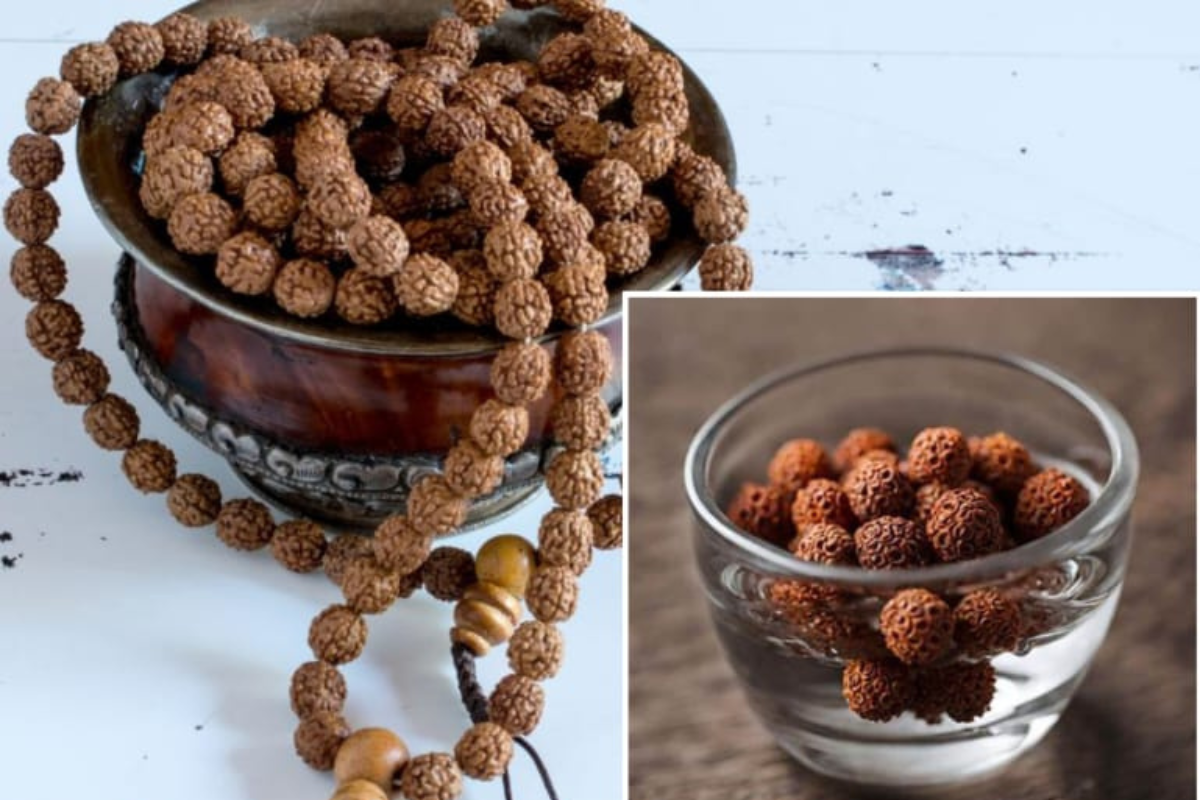 हे आहेत रुद्राक्षाचे पाणी पिण्याचे आरोग्यदायी फायदे 