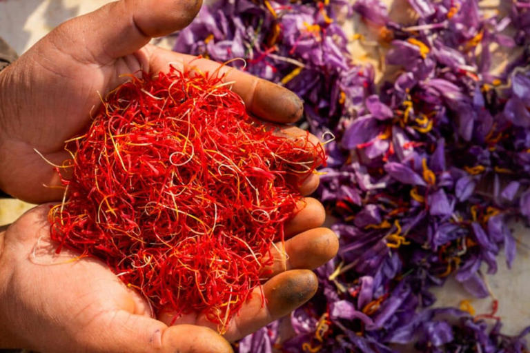 आपल्या बाल्कनीत उगवा ‘केशर’ – सुवासिक व सोन्यासारखा मसाला