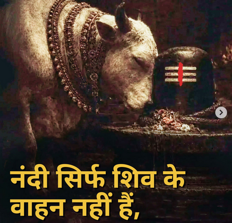  नंदी : केवळ वाहन नव्हे, तर अखंड भक्तीचे प्रतीक 