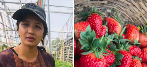 भिंतीवरची शेती ते लाखोंचा नफा: भारती भोरिया यांची प्रेरणादायी गाथा