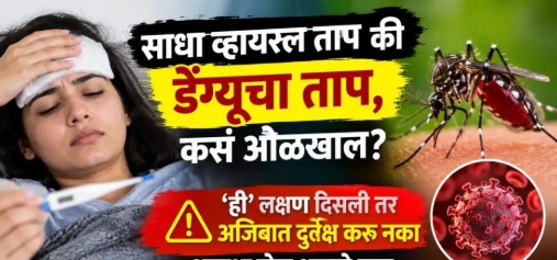 ताप साधा व्हायरल की डेंग्यूचा ताप?? कसं ओळखाल?? 'ही' लक्षण दिसली तर अजिबात दुर्लक्ष करु नका !