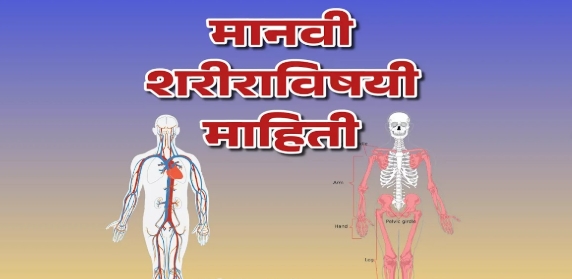 मानवी शरीराविषयी महत्त्वाची विज्ञान माहिती