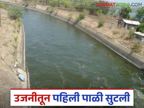 Ujani Dam : उजनी धरणातून उन्हाळी हंगामातील पहिल्या पाळीचे पाणी सोडले? धरणात आता किती पाणीसाठा?