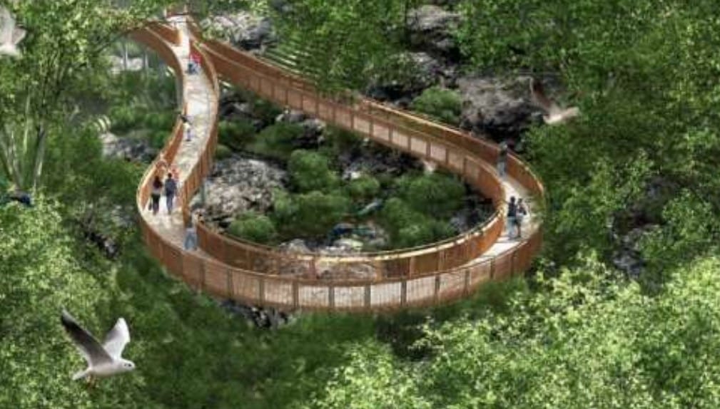  मुंबईतील पहिला उंचावरील निसर्ग मार्ग  : मलबार हिल फॉरेस्ट वॉकवे