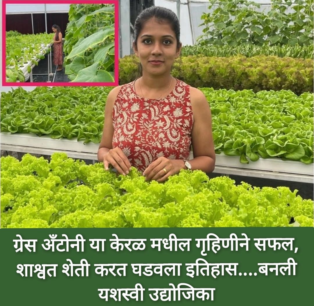 केरळमधील कोट्टायम येथील  गृहिणीचा विषमुक्त भाज्यांसाठी पुढाकार 