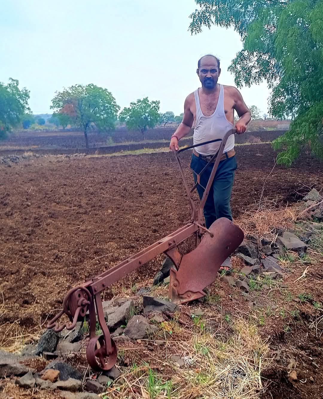 सातारा :शेतकऱ्याचे कष्ट हलके करणारा नांगर होतोय दुर्मिळ !