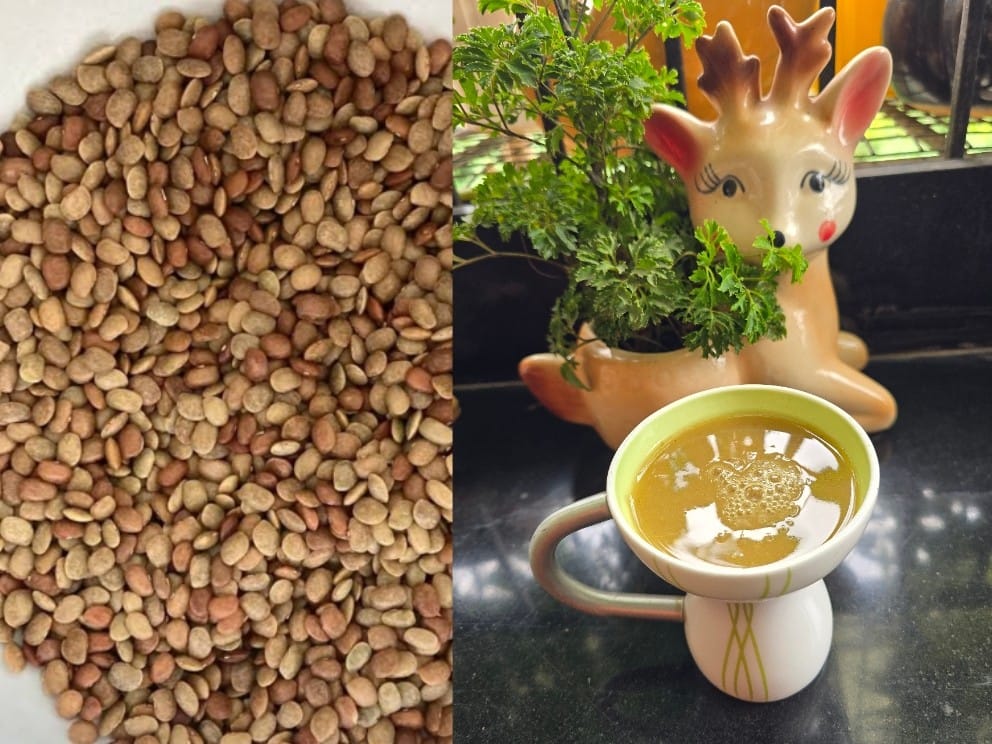 आरोग्यदायी कुळीथ/हुलगा  (Horse Gram)