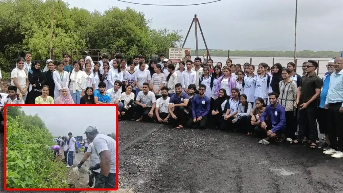 जागतिक कांदळवन दिनानिमित्त ७५० किलोहून अधिक कचरा हटवला; विशेष पर्यावरणीय चौकशीचीही मागणी