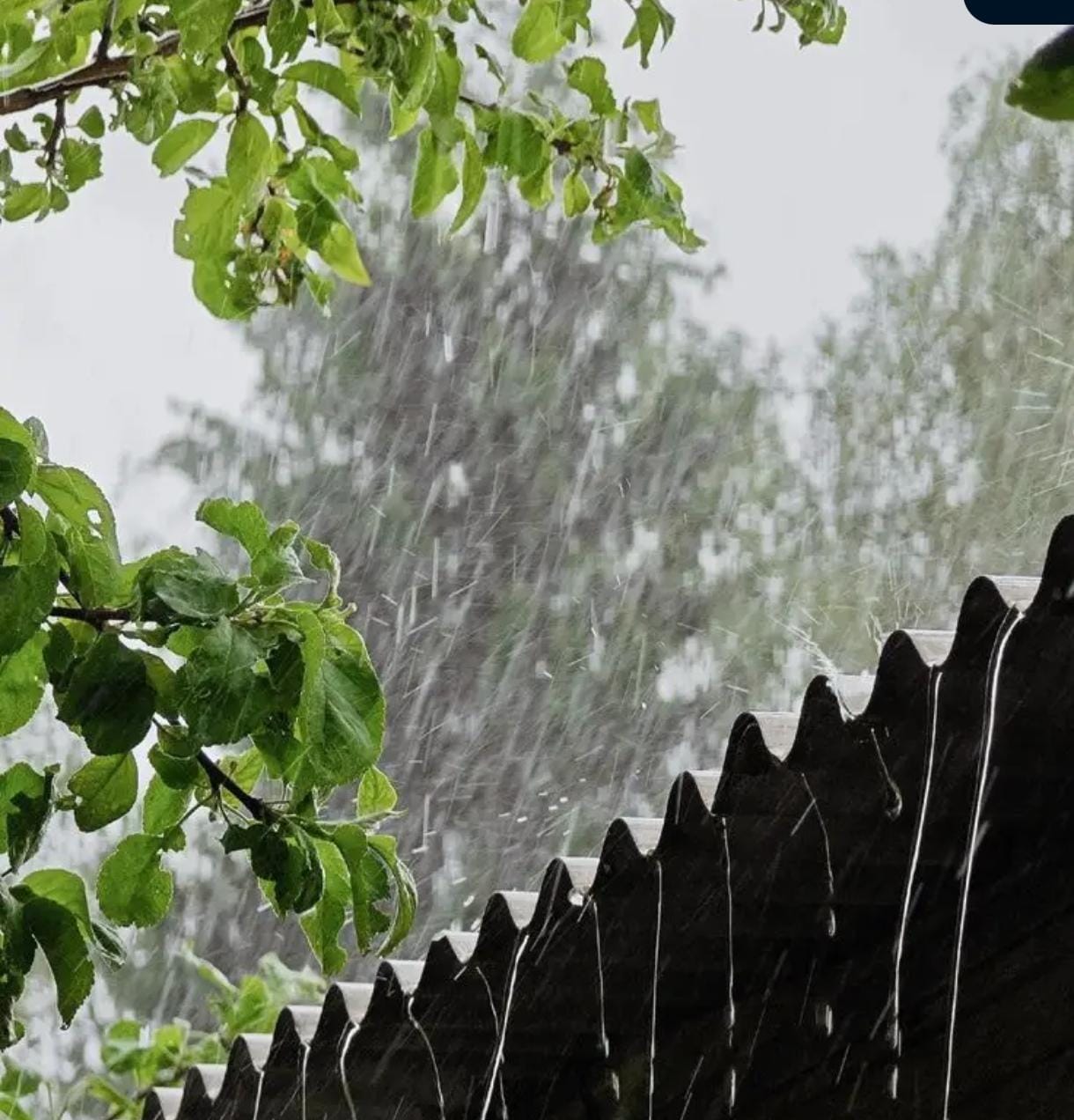 राज्यातील अनेक जिल्ह्यांत आज जोरदार पावसाची शक्यता; मुंबई, पुणे, रत्नागिरीसह राज्यभर पाऊस!